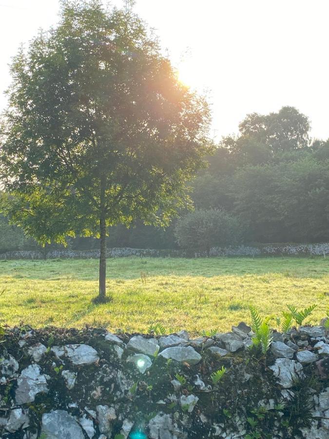 La Casa De Hierba - Casa De Campo De Diseno Con Jardin Y Wifi Cerca De Las Playas De Llanes Eksteriør bilde