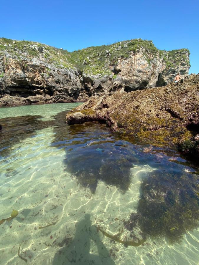 La Casa De Hierba - Casa De Campo De Diseno Con Jardin Y Wifi Cerca De Las Playas De Llanes Eksteriør bilde